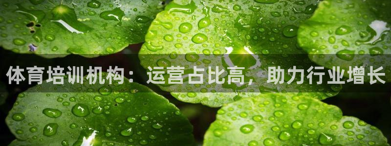 耀世平台开户要求是什么：体育培训机构：运营占比高，助