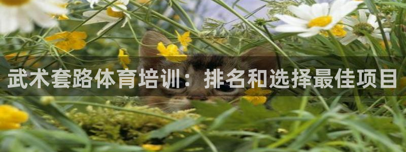 耀世娱乐登录注册教程：武术套路体育培训：排名和选择最