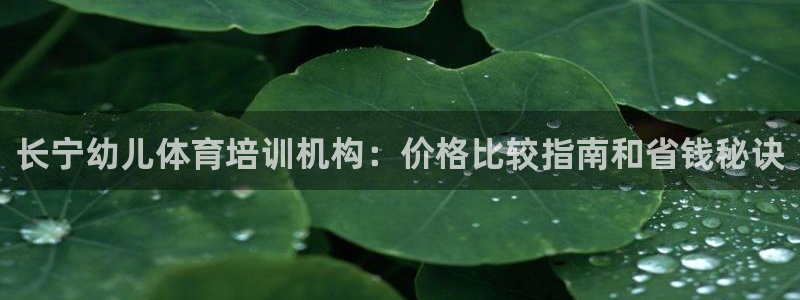 耀世天下：长宁幼儿体育培训机构：价格比较指南和省钱秘