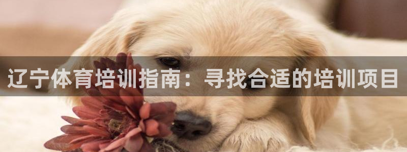 耀世平台app下载安装：辽宁体育培训指南：寻找合适的