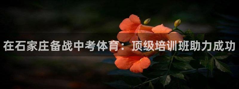 耀世微光mv：在石家庄备战中考体育：顶级培训班助力成