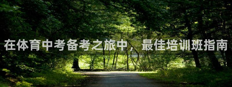 耀世娱乐能不能提现到支付宝：在体育中考备考之旅中，最