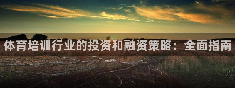 耀世平台总代理电话：体育培训行业的投资和融资策略：全