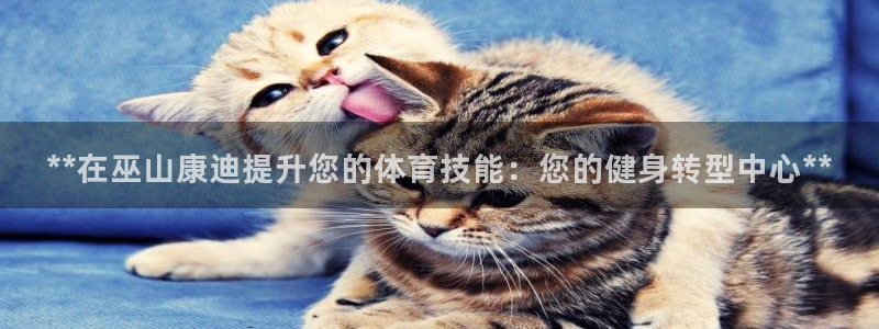 耀世平台的运营模式：**在巫山康迪提升您的体育技能：