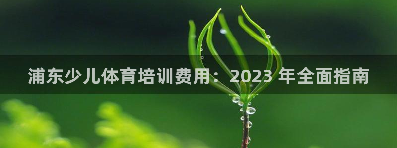 耀世天下：浦东少儿体育培训费用：2023 年全面指南