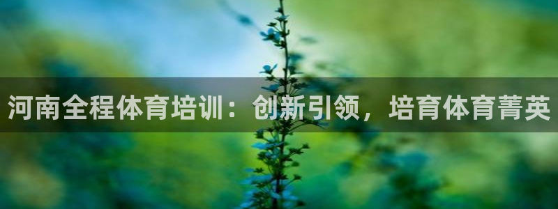 耀世娱乐平台注册登录不了：河南全程体育培训：创新引领