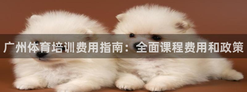 耀世天下的图片：广州体育培训费用指南：全面课程费用和