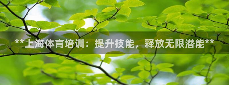 耀世娱乐如何登录账号密码：**上海体育培训：提升技能