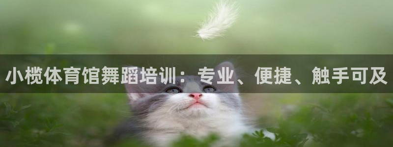 耀世娱乐安全吗知乎：小榄体育馆舞蹈培训：专业、便捷、