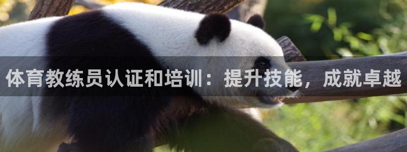 耀世娱乐如何登录平台账户：体育教练员认证和培训：提升