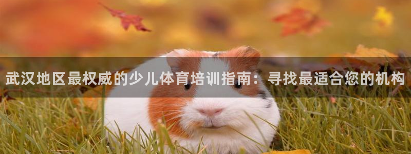 耀世集团做什么的：武汉地区最权威的少儿体育培训指南：