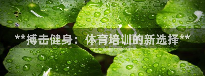 耀世而来是什么意思：**搏击健身：体育培训的新选择*