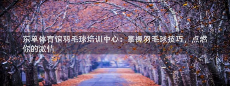 耀世娱乐如何登录账号和密码：东单体育馆羽毛球培训中心