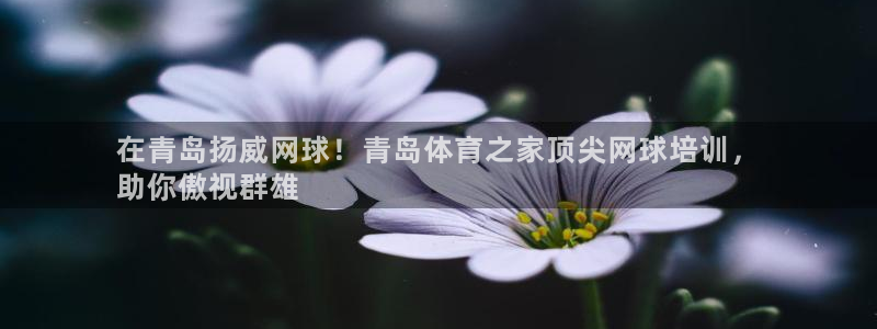 耀世集团王总：在青岛扬威网球！青岛体育之家顶尖网球培