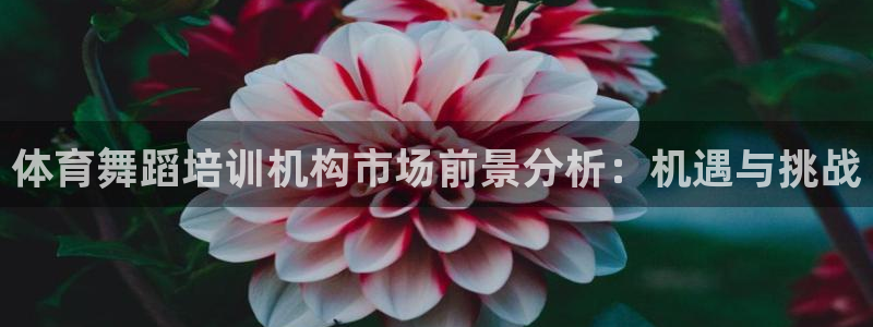耀世集团视频直播怎么样：体育舞蹈培训机构市场前景分析