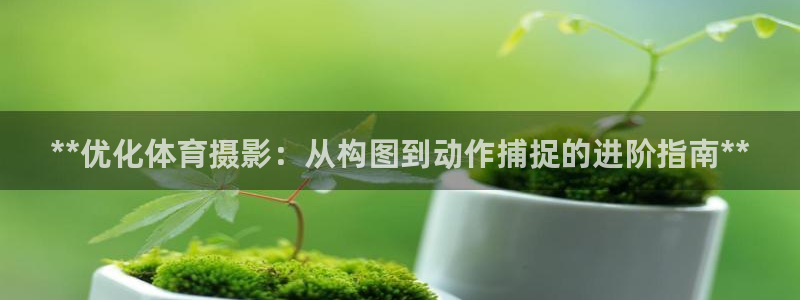 耀世平台注册流程图片：**优化体育摄影：从构图到动作