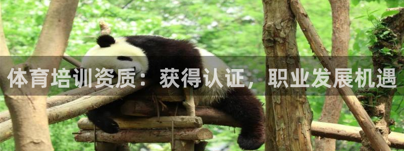 耀世集团视频直播：体育培训资质：获得认证，职业发展机
