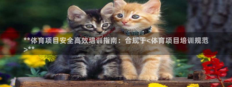 耀世国际平台正规吗可信吗：**体育项目安全高效培训指