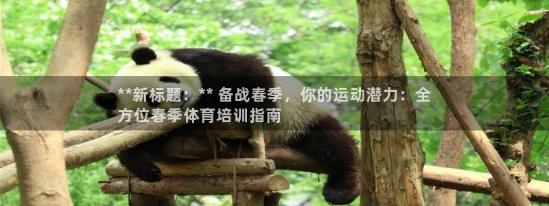 耀世平台哪个彩种是公平彩中的：**新标题：** 备战