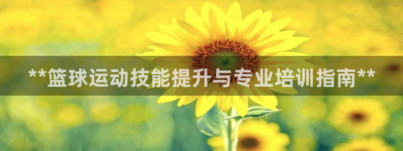 耀世集团是干嘛的企业啊怎么样：**篮球运动技能提升与