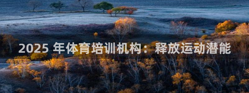 耀世娱乐老板是谁：2025 年体育培训机构：释放运动