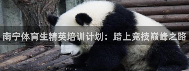 耀世娱乐平台注册登录失败：南宁体育生精英培训计划：踏