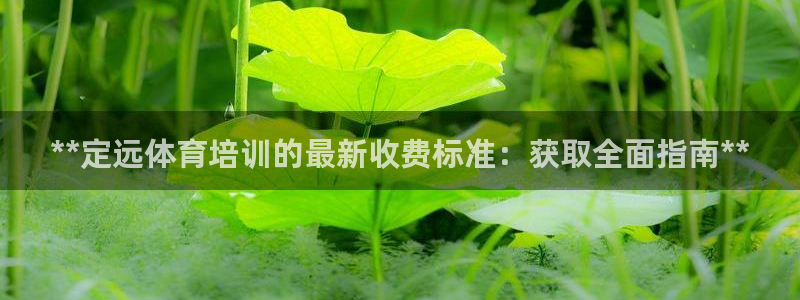 耀世娱乐平台注册登录失败：**定远体育培训的最新收费