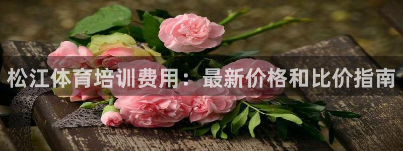 耀世官方网站入口：松江体育培训费用：最新价格和比价指