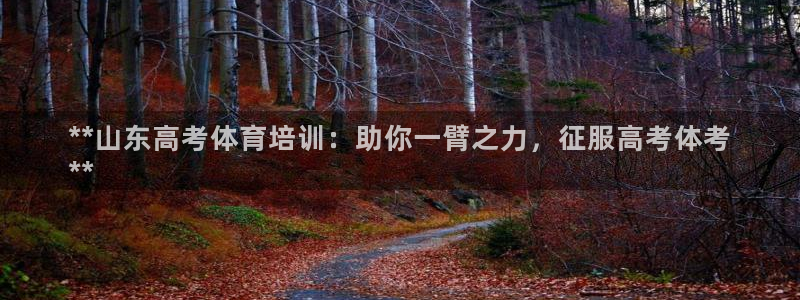耀世天下怎么接：**山东高考体育培训：助你一臂之力，