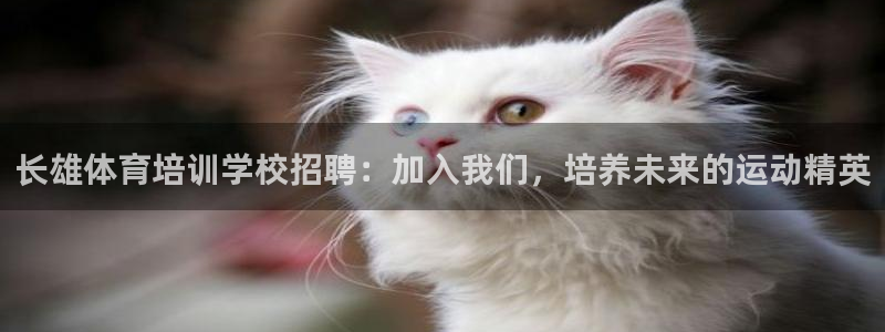 耀世平台有很多登录地址：长雄体育培训学校招聘：加入我