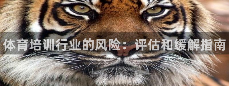 耀世开业是什么意思：体育培训行业的风险：评估和缓解指