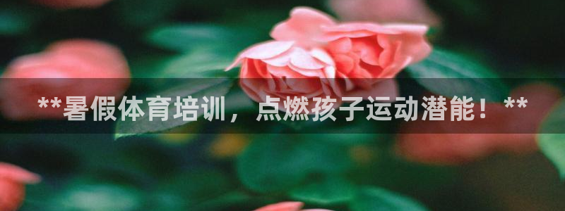 耀世娱乐如何登录平台：**暑假体育培训，点燃孩子运动