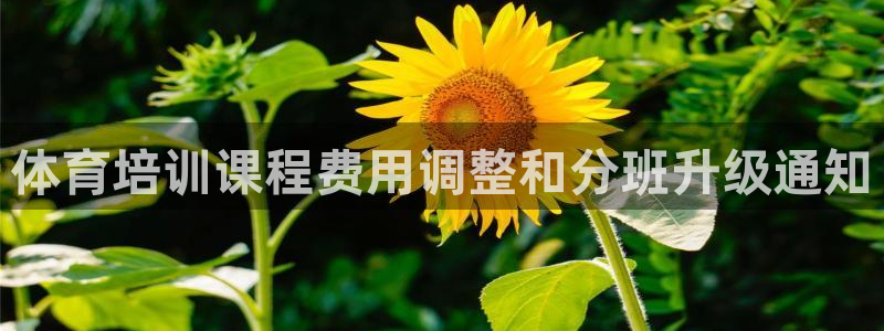 耀世开盘是什么意思：体育培训课程费用调整和分班升级通