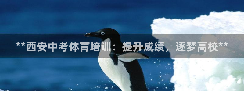 耀世国际集团：**西安中考体育培训：提升成绩，逐梦高