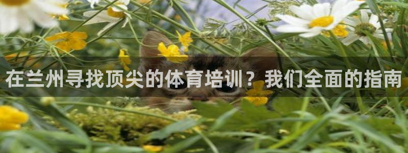 耀世国际平台正规吗可信吗安全吗：在兰州寻找顶尖的体育