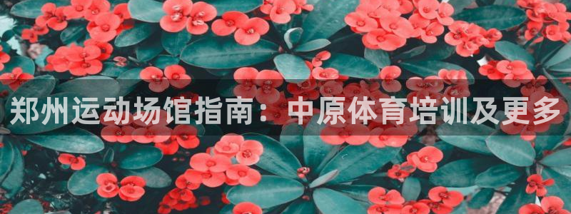 耀世天下图片大全：郑州运动场馆指南：中原体育培训及更