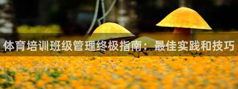 耀世集团商业联盟招聘：体育培训班级管理终极指南：最佳