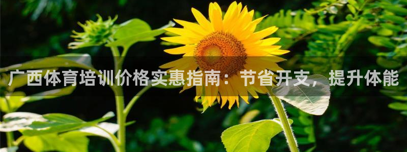 耀世娱乐平台主管：广西体育培训价格实惠指南：节省开支