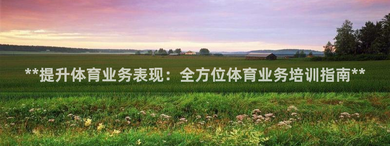 耀世娱乐能提现：**提升体育业务表现：全方位体育业务