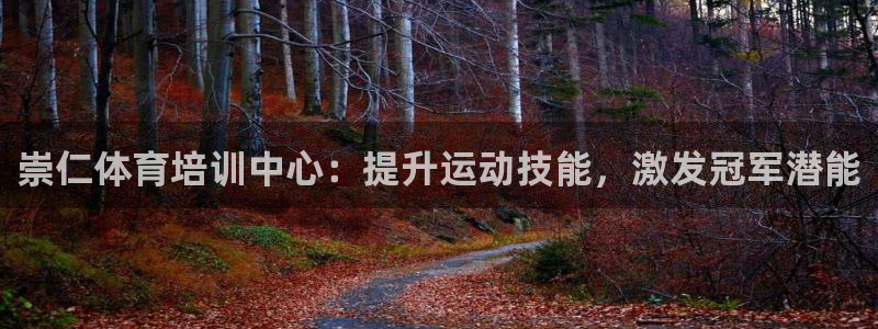 耀世娱乐是个什么平台啊：崇仁体育培训中心：提升运动技