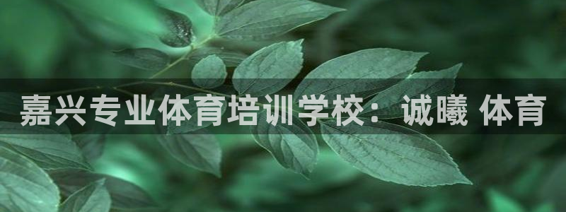 耀世娱乐平台注册登录失败：嘉兴专业体育培训学校：诚曦