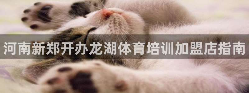 耀世歌曲：河南新郑开办龙湖体育培训加盟店指南