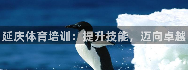 耀世娱乐官网首页登录不了：延庆体育培训：提升技能，迈