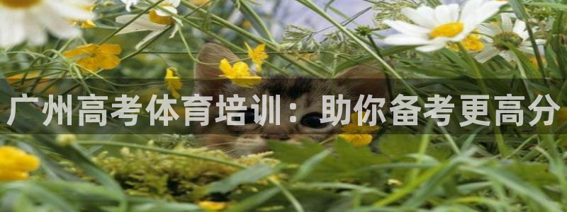 耀世娱乐登陆官网网址：广州高考体育培训：助你备考更高
