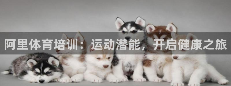 耀世娱乐平台注册地址在哪里看：阿里体育培训：运动潜能