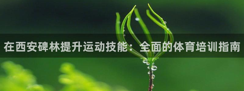 耀世天下图片头像：在西安碑林提升运动技能：全面的体育