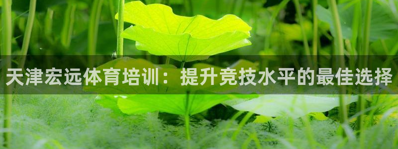 耀世天下的图片唯美：天津宏远体育培训：提升竞技水平的