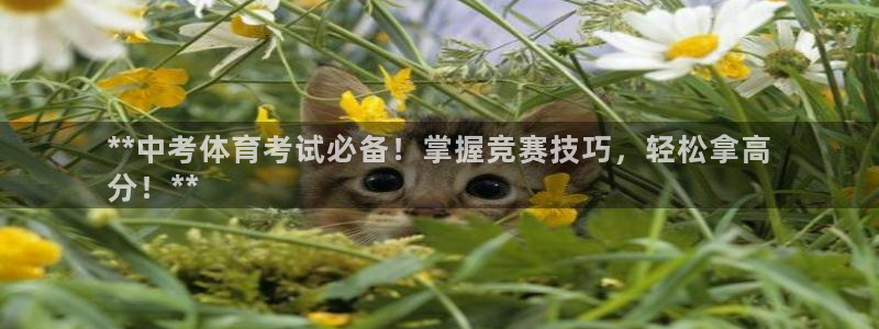 耀世平台总代理是谁：**中考体育考试必备！掌握竞赛技