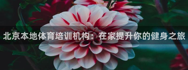 耀世集团是什么电影：北京本地体育培训机构：在家提升你