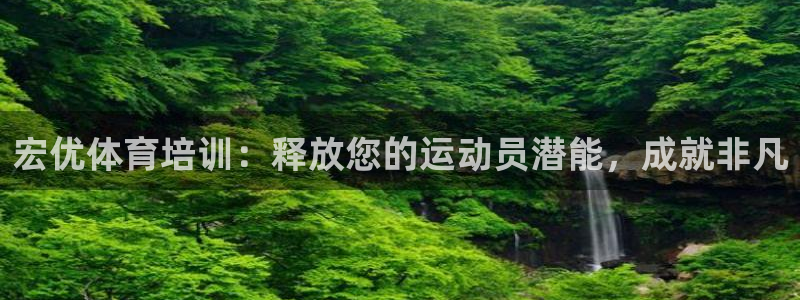 耀世娱乐app下载安装最新版：宏优体育培训：释放您的